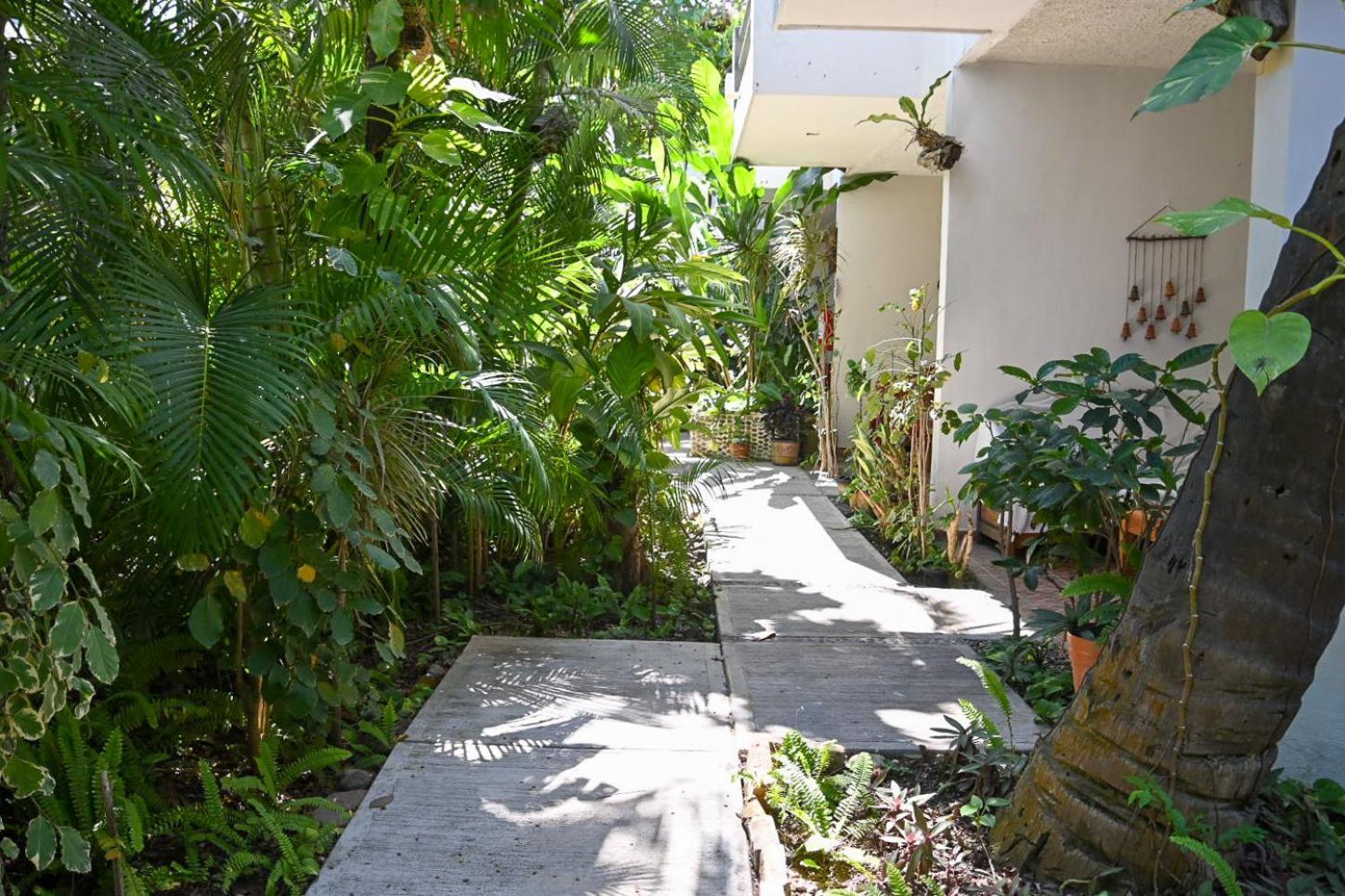 Hotel Palmeras Bucerías エクステリア 写真