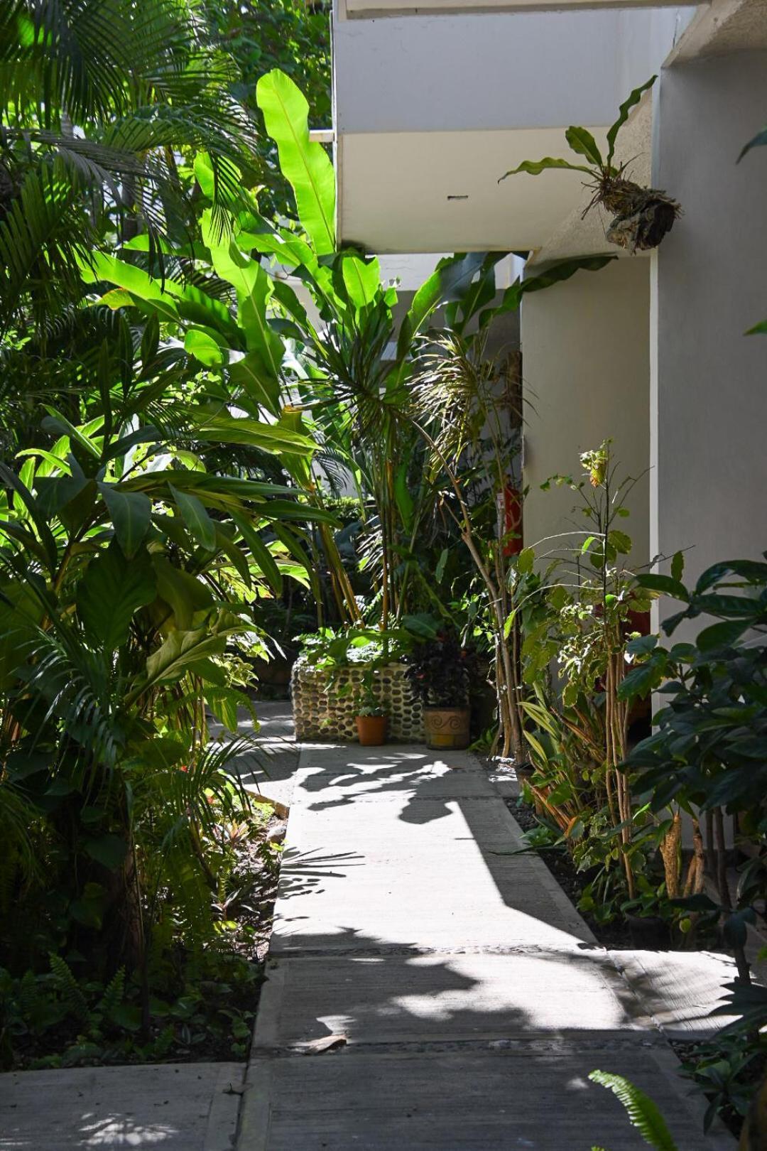 Hotel Palmeras Bucerías エクステリア 写真