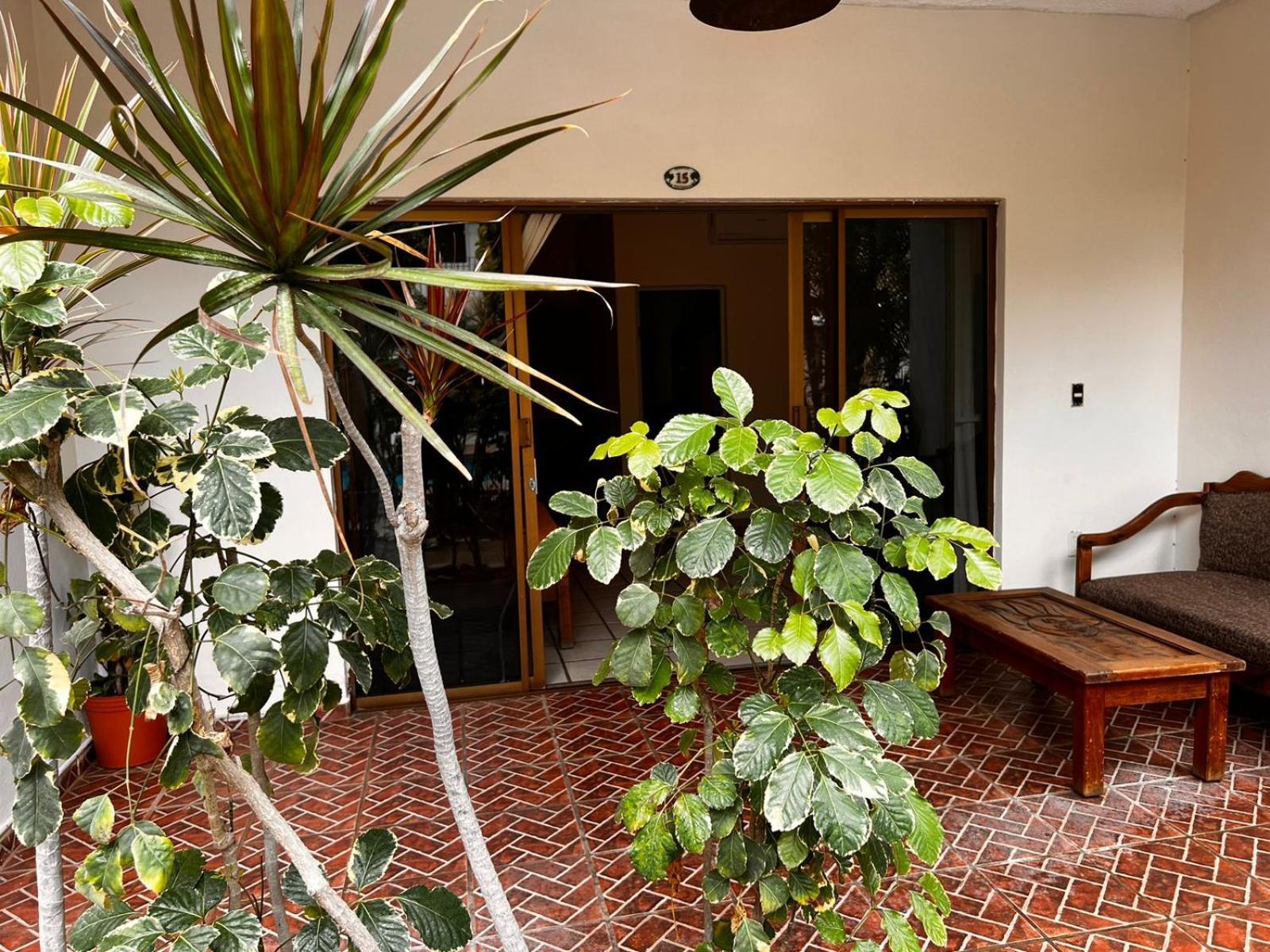 Hotel Palmeras Bucerías エクステリア 写真