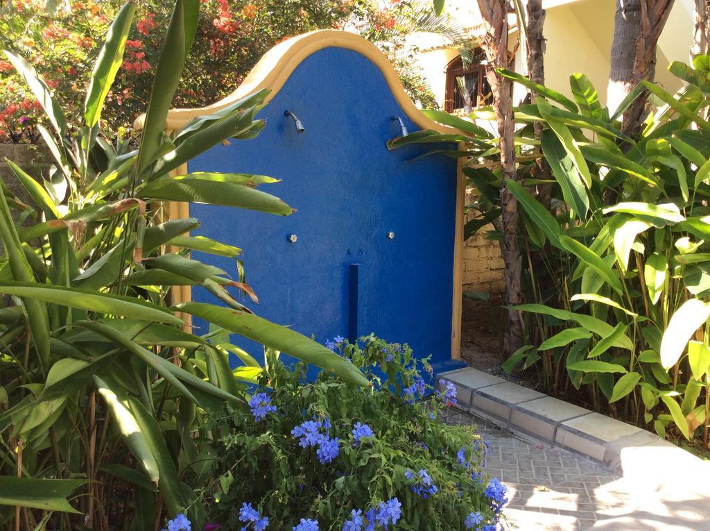 Hotel Palmeras Bucerías エクステリア 写真