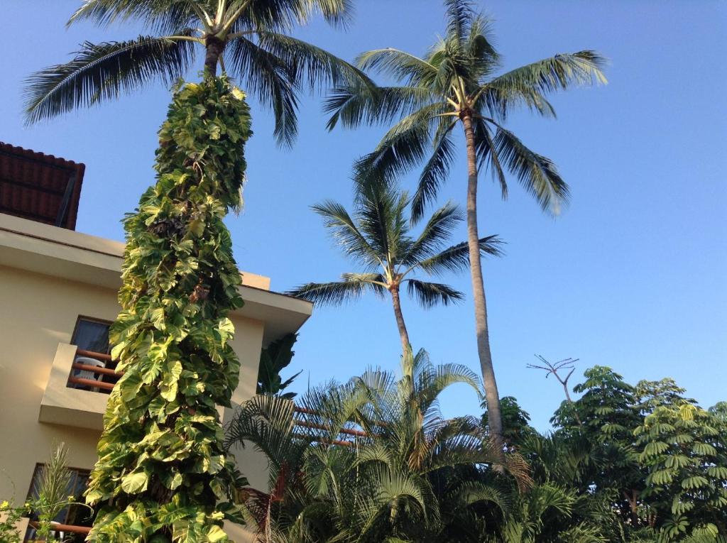 Hotel Palmeras Bucerías エクステリア 写真